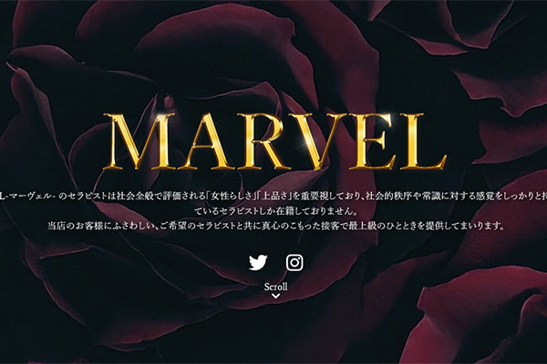 東京都新宿-MARVEL- Ownerʼs Spa