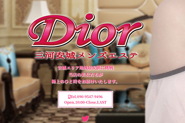 愛知県安城Dior～ディオール