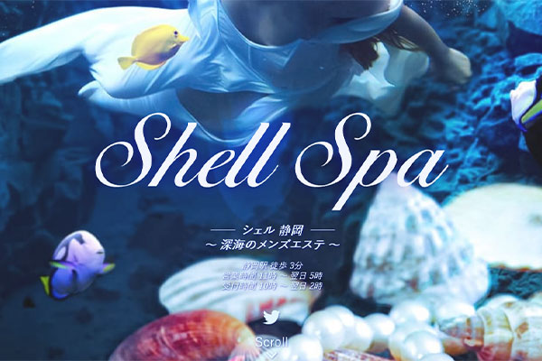 静岡県Shell Spa 静岡～シェルスパ～
