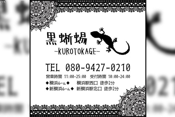 神奈川県横浜黒蜥蜴-KUROTOKAGE-新横浜 横浜