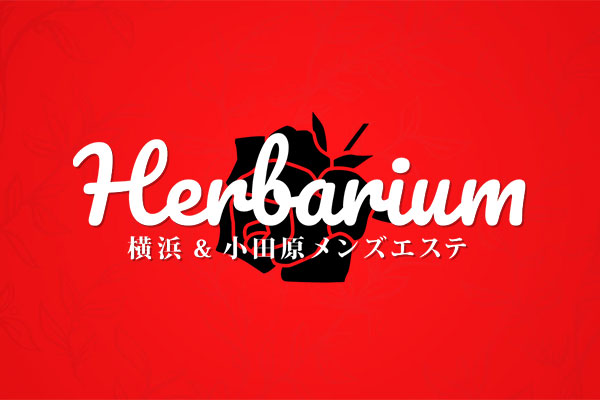 神奈川県関内・曙町Herbarium～ハーバリウム～